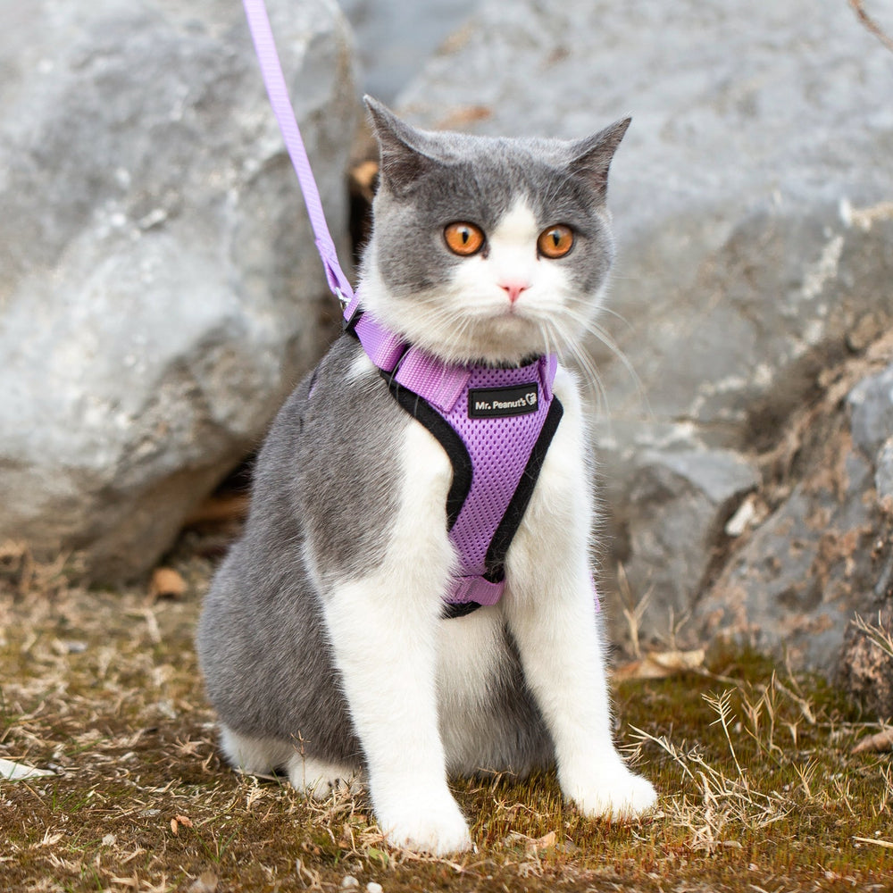 Mr. Peanut's PurrTrek Reflective Cat Harness with Matching Leash