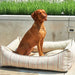 Sanibel Stripe Bowsers One Of A Kind Scoop Dog Bed shows a brown dog sitting upright in a striped bed outdoors
