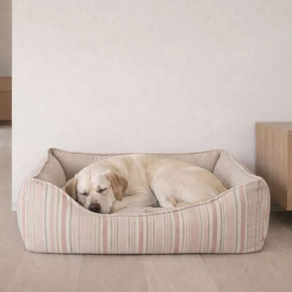Sanibel Stripe Bowsers One Of A Kind Scoop Dog Bed shows a light-colored dog sleeping peacefully curled up inside a striped, cushioned bed indoors