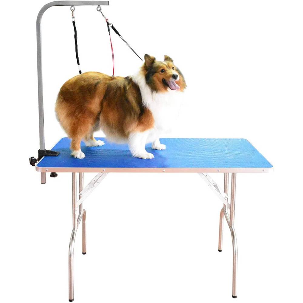 Dog grooming outlet table restraints