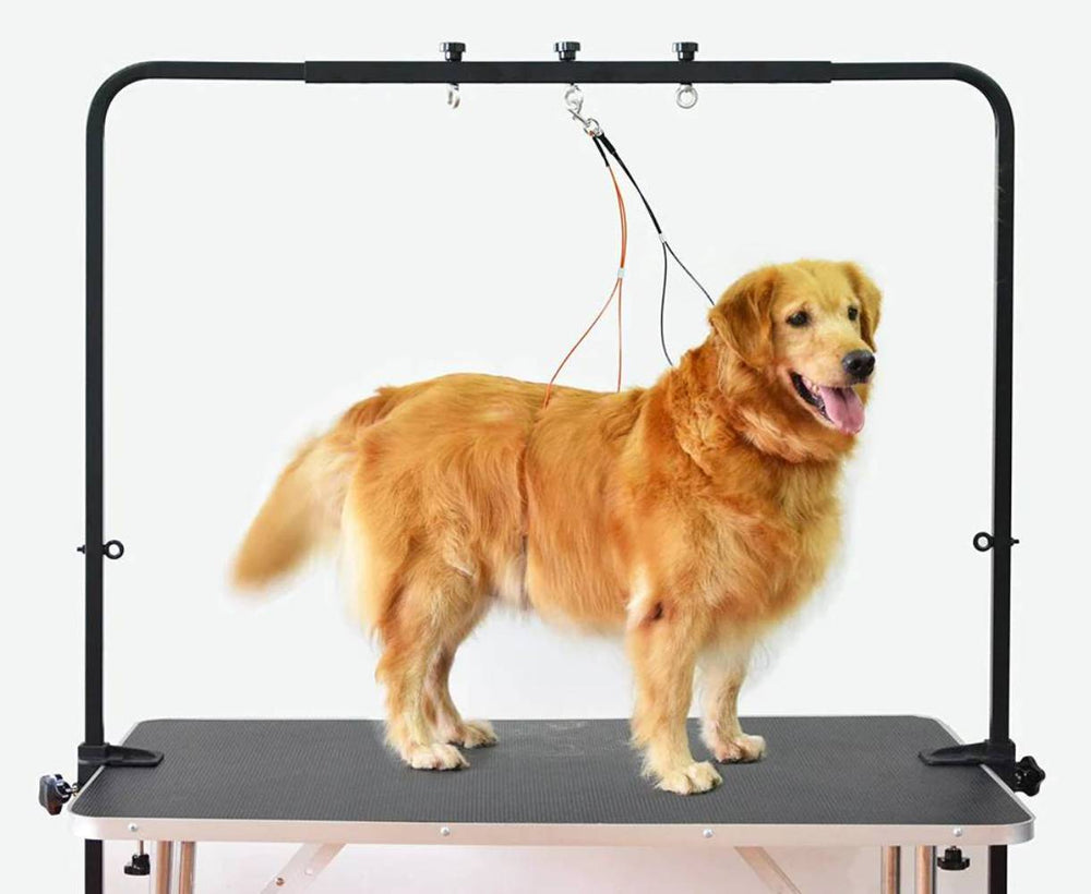 Shelandy Overhead Dog Grooming Arm