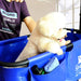 Shelandy 40" Pet Bathtub With White Dog