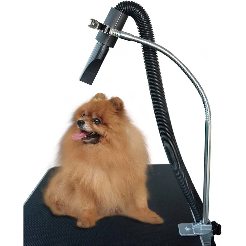 Stand Droger Dogooming Hond Andoomingplies Hond Catooming Tafel Föhn Stand Droger Dogooming Hond Andoomingplies Hond Catooming Tafel Föhn