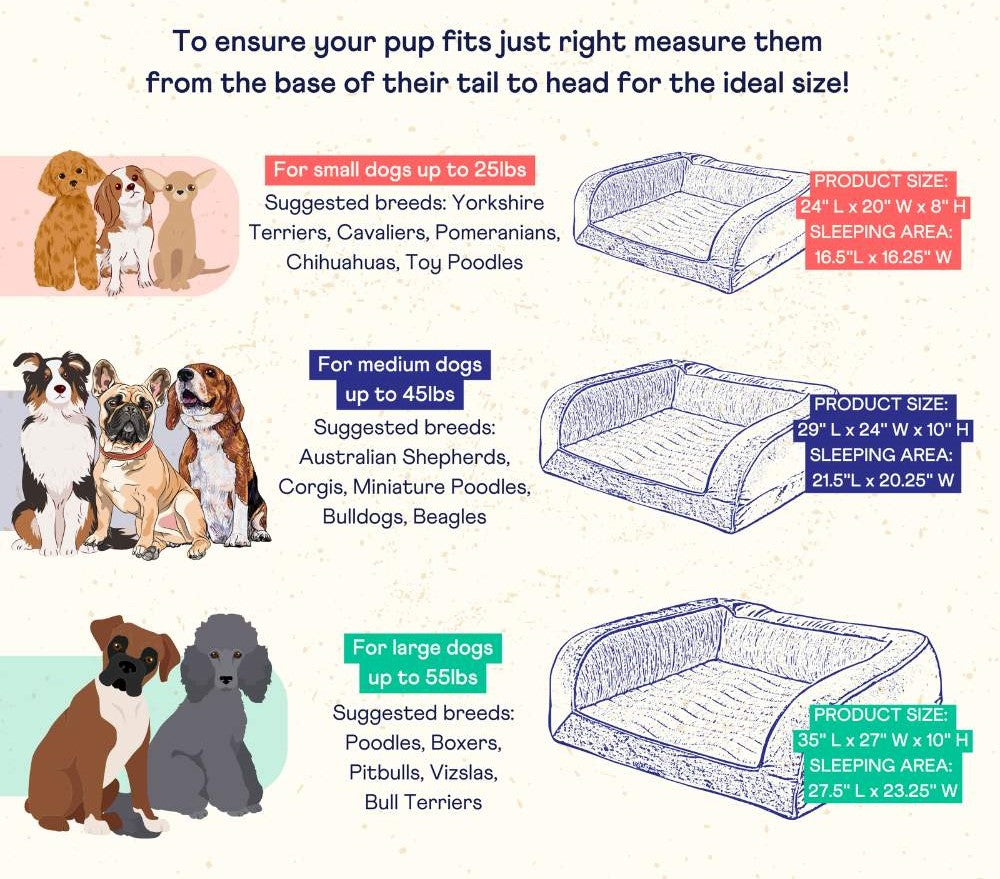 Size recommendations for the Paw PupChill™ Cooling Bolster Dog Bed, detailing the appropriate sizes for small, medium, and large dogs with example breeds and dimensions