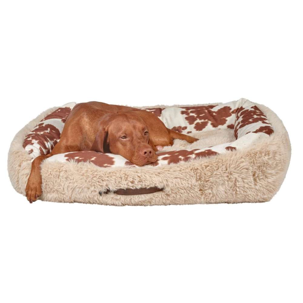 Sleepy brown dog stretches out with its head resting on the edge of the soft Durango Bowsers The Dude Dog Bed
