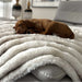 Small brown dog is peacefully sleeping on a soft, fluffy bed covered with Bowsers Blanket Topper in a cozy home setting
