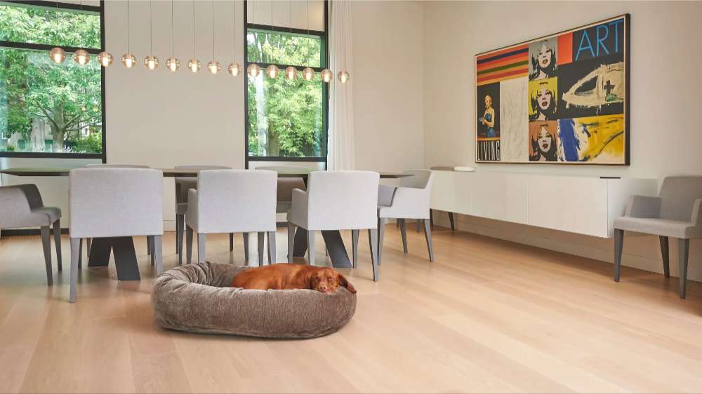 Small brown dog sleeps curled up in a soft gray Bowsers Donut Dog Bed - Platinum Collection placed in the center of a bright modern dining room