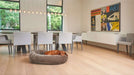 Small brown dog sleeps curled up in a soft gray Bowsers Donut Dog Bed - Platinum Collection placed in the center of a bright modern dining room