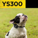 Small dog outdoors wears Dogtra YS300 No Bark Collar for Small/Medium Dogs, showing its comfortable fit around the neck