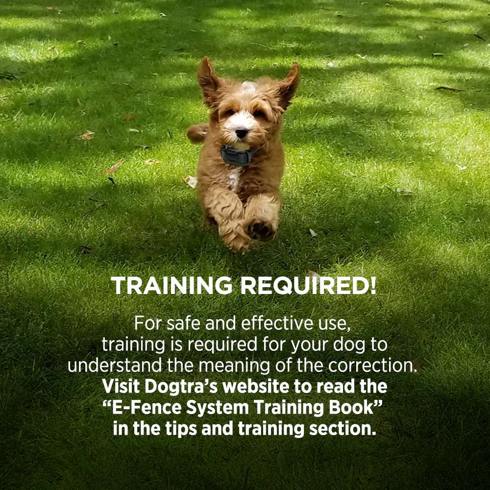 Small dog running on grass emphasizes training is required for Dogtra EF3500 Rechargeable Containment System