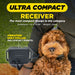Small dog sits outdoors wearing Dogtra iQ VIBE Dog Bark Control Collar, highlighting its ultra-compact and lightweight design