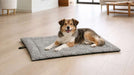 Small mixed-breed dog rests happily on a patterned Bowsers Cosmopolitan Mat in a bright, modern living room with plenty of open space
