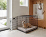 Small tan dog relaxes inside a wire crate on Bowsers Cool Gel Memory Foam Mattress in a bright entryway