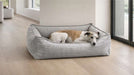 Small white and tan dog lies stretched out inside the light gray textured Bowsers Oslo Ortho Bed near large windows in a bright room