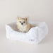 Small dog resting comfortably in the Hello Doggie Bella Dog Bed