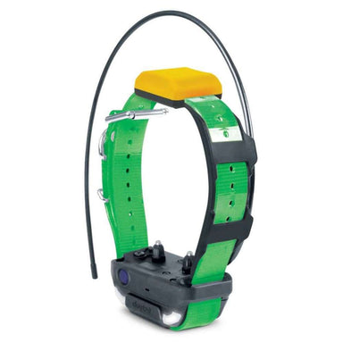 Standing view of green Dogtra Pathfinder2 Extra Receiver Collar with a curved antenna and contact points, designed for a secure dog fit