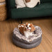 The Cavalier King Charles Spaniel is lying joyfully on the Ultra Soft Chinchilla Paw PupPouf™ Luxe Faux Fur Donut Dog Bed with a cozy ambiance
