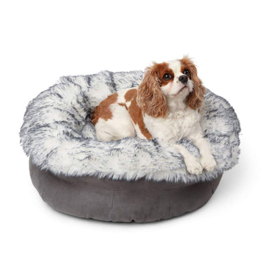 The Cavalier King Charles Spaniel looks comfortable and content on the Ultra Plush Arctic Fox Paw PupPouf™ Luxe Faux Fur Donut Dog Bed against a white background