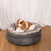 The Cavalier King Charles Spaniel relaxing on the Ultra Soft Chinchilla Paw PupPouf™ Luxe Faux Fur Donut Dog Bed in a serene setting