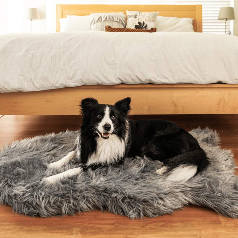 The Curve Charcoal Grey Paw PupRug Faux Fur Orthopedic Dog Bed is shown in a bedroom setting with a black and white dog lying on it