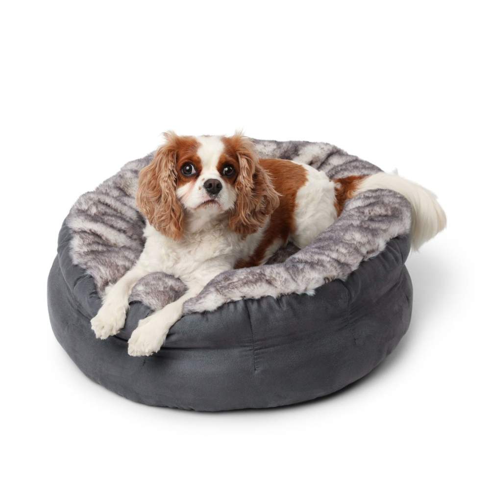 The Ultra Soft Chinchilla Paw PupPouf™ Luxe Faux Fur Donut Dog Bed showcases the Cavalier King Charles Spaniel resting comfortably