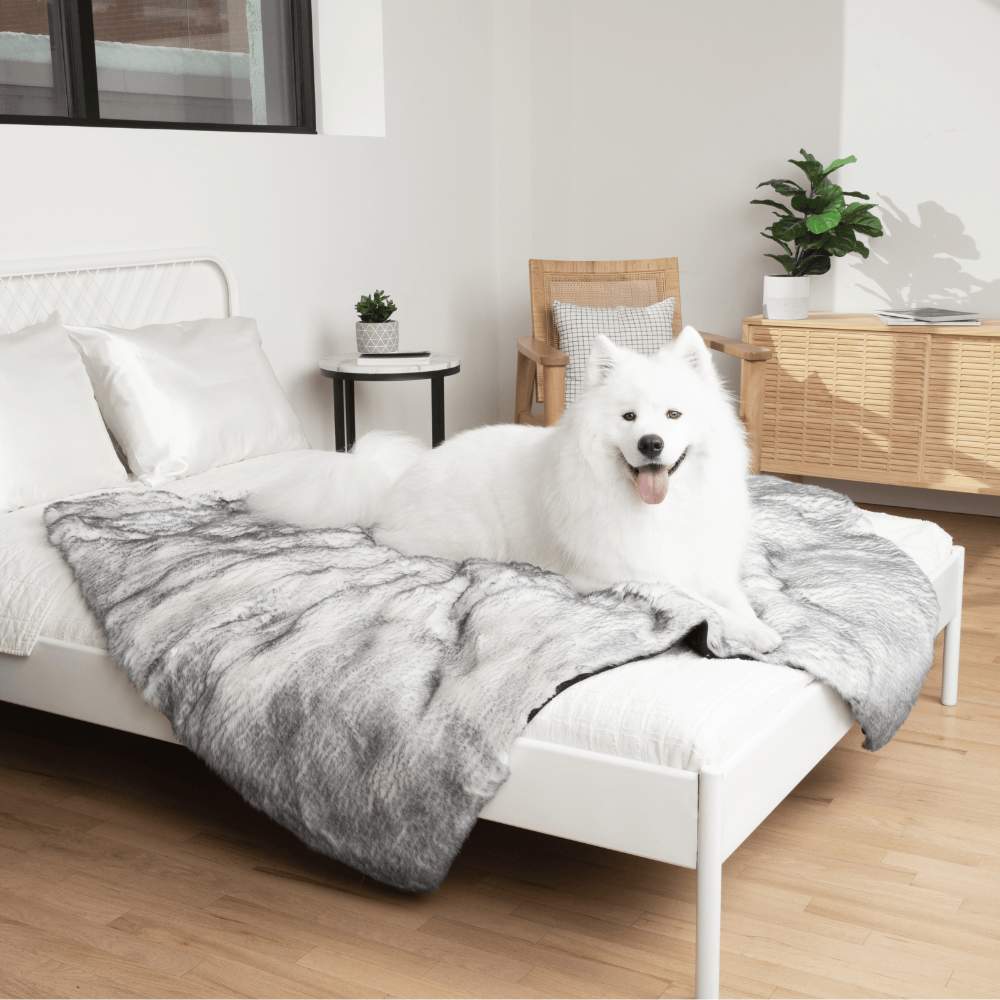 The fluffy white dog is shown on the Paw PupProtector™ Waterproof Throw Blanket - Ultra Plush Arctic Fox, laid out on a bed