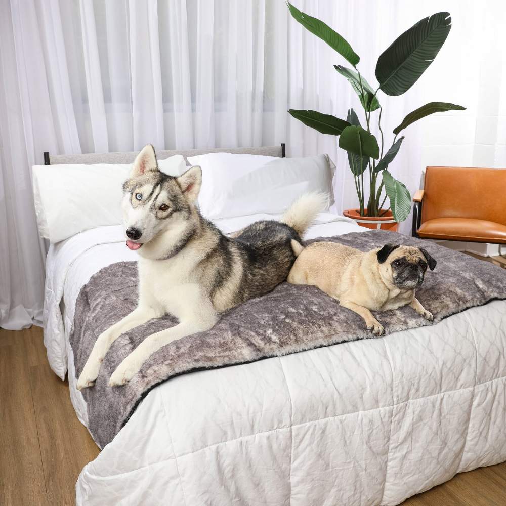 The husky and pug are both relaxing on the bed with the Paw PupProtector™ Waterproof Bed Runner - Ultra Soft Chinchilla