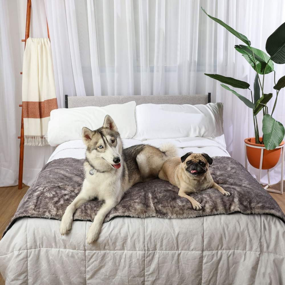 The husky and pug look relaxed and happy together on the bed featuring the Paw PupProtector™ Waterproof Bed Runner - Ultra Soft Chinchilla