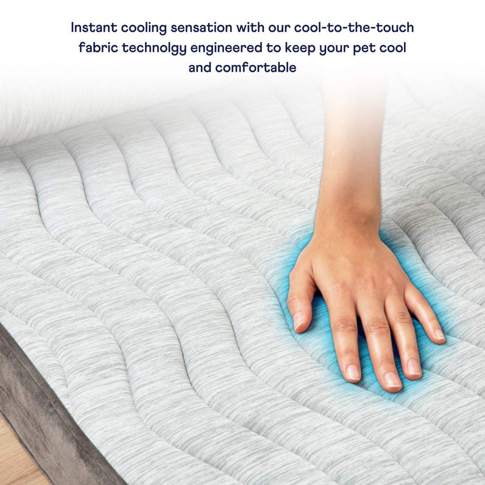The image demonstrates the instant cooling sensation provided by the cool-to-the-touch fabric technology of the Paw PupChill™ Cooling Bolster Dog Bed