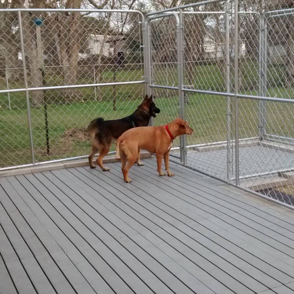 Kennel Flooring Cheap Dog Kennels Near Me Kennel Deck Dog