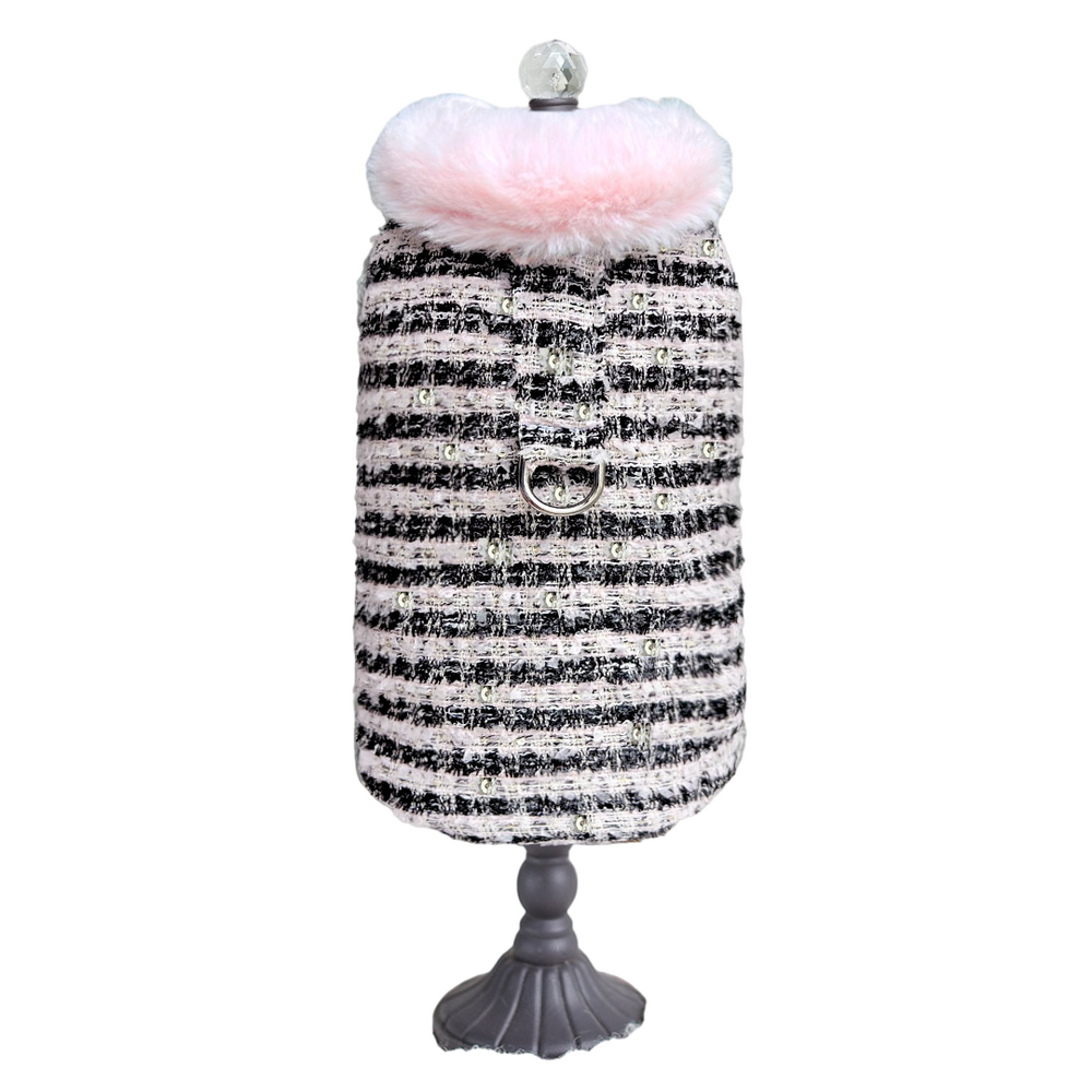The image highlights a cute Hello Doggie Annabella Dog Coat in cupcake color with a mix of pastel hues