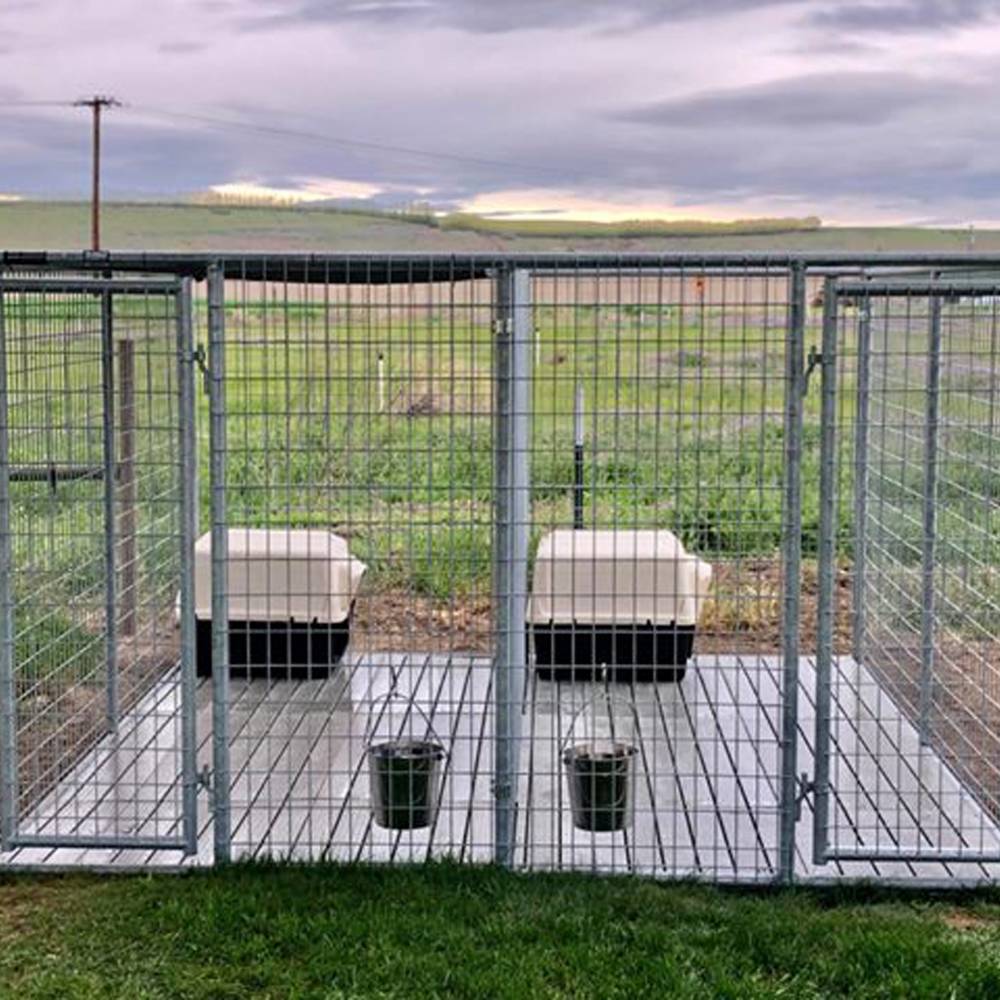 The image shows a kennel setup in an outdoor environment with two individual sections, each with Kennel Deck Dog Kennel Flooring panels