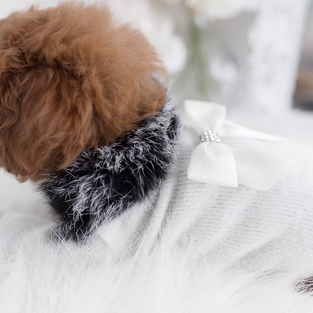 The image shows a small brown dog wearing the Hello Doggie High Society Dog Sweater, highlighting the fluffy black collar and the elegant white bow with a jeweled center