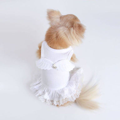 The image shows a small dog wearing the Hello Doggie Lil' Angel Dog Dress, which features a white dress with angel wings on the back