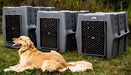 The image shows three sturdy gray Dakota 283 CRaTE – “Canine Rough and Tough Economy” Kennel Large crates lined up on grass with a golden retriever resting beside them