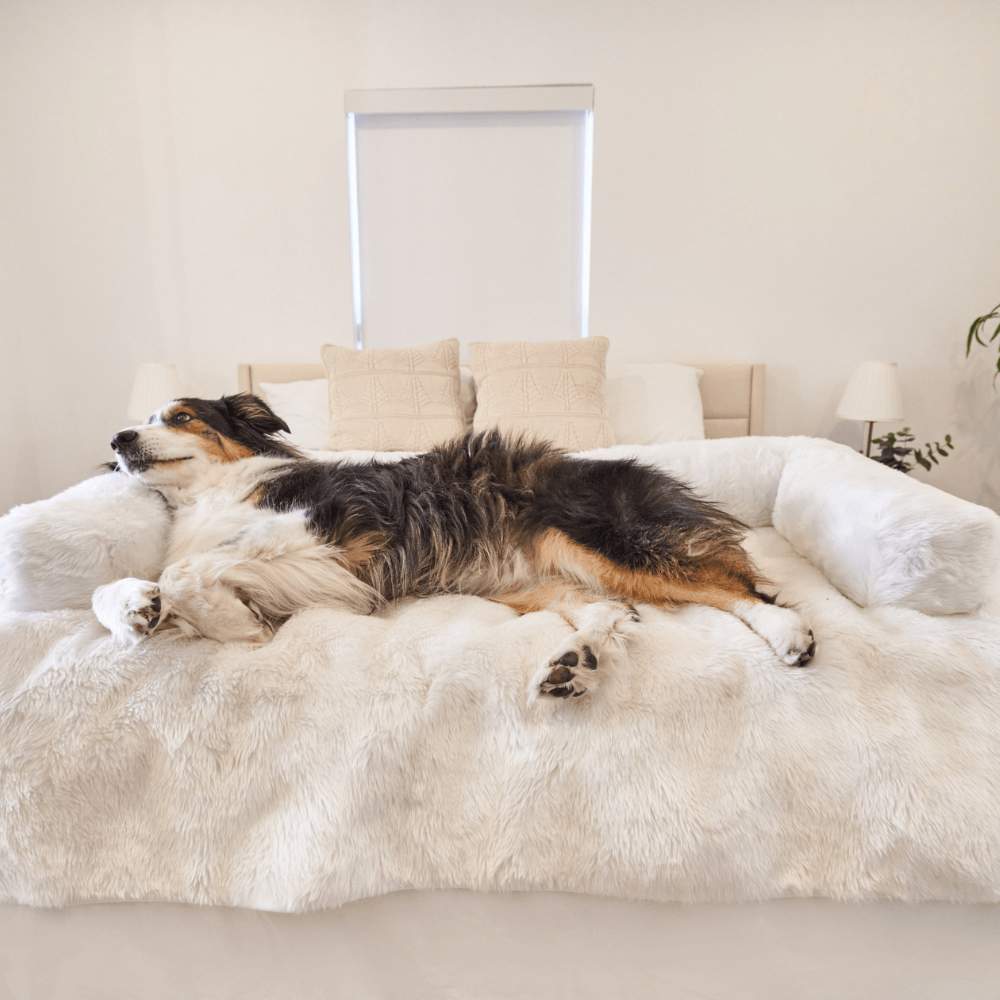The tricolor dog is fully stretched out on the Paw PupProtector™ Waterproof Couch Lounger - Polar White on a bed