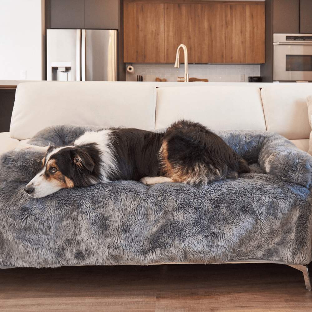 The tricolor dog is lying down and resting on the Paw PupProtector™ Waterproof Couch Lounger - Charcoal Grey on a white couch
