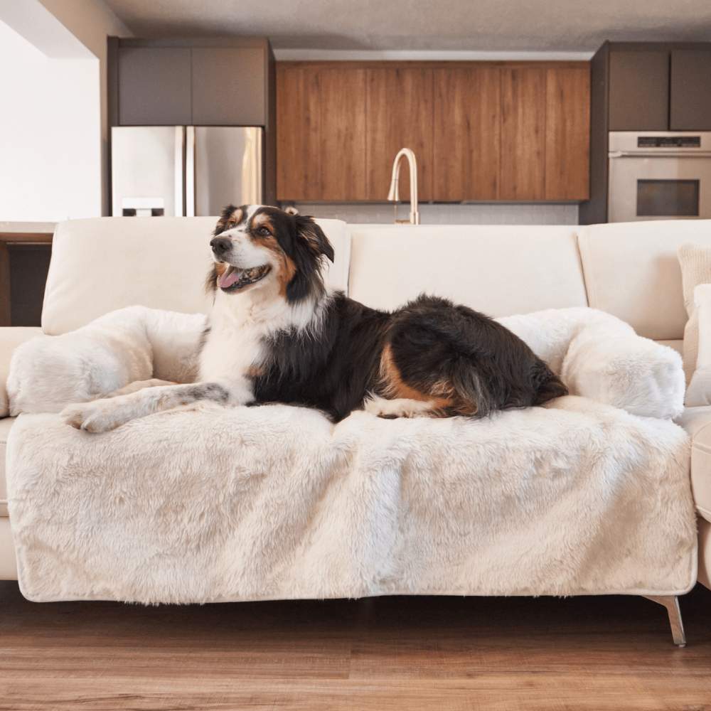 The tricolor dog is resting comfortably on the Paw PupProtector™ Waterproof Couch Lounger - Polar White on a white couch