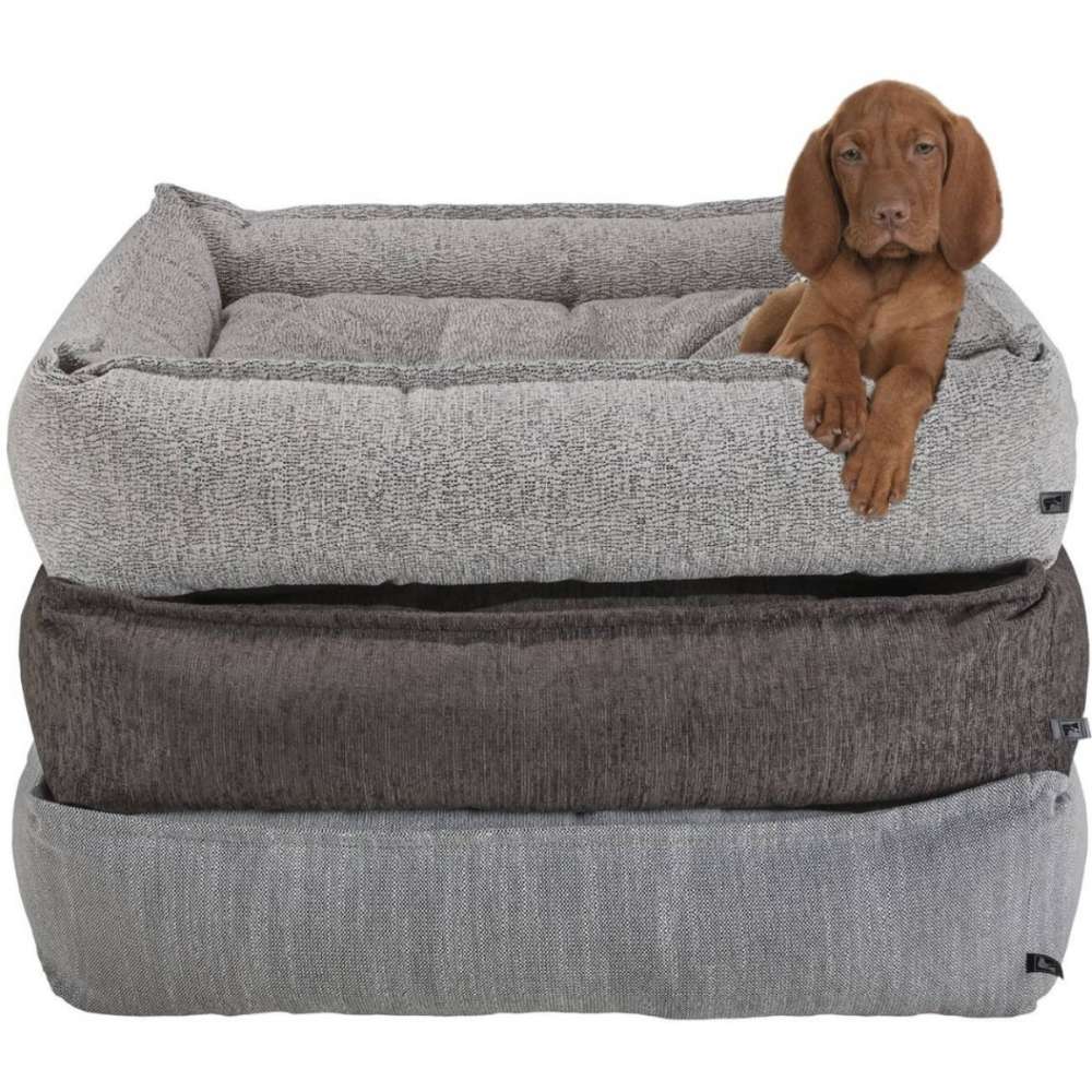 Three stacked versions of Bowsers Sterling Lounge Dog Bed are shown with a brown puppy resting on the top doggy bed
