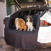 Three dogs sitting on the Paw PupProtector™ Cargo Cover Liner for SUVs and Cars, highlighting its spacious and pet-friendly design