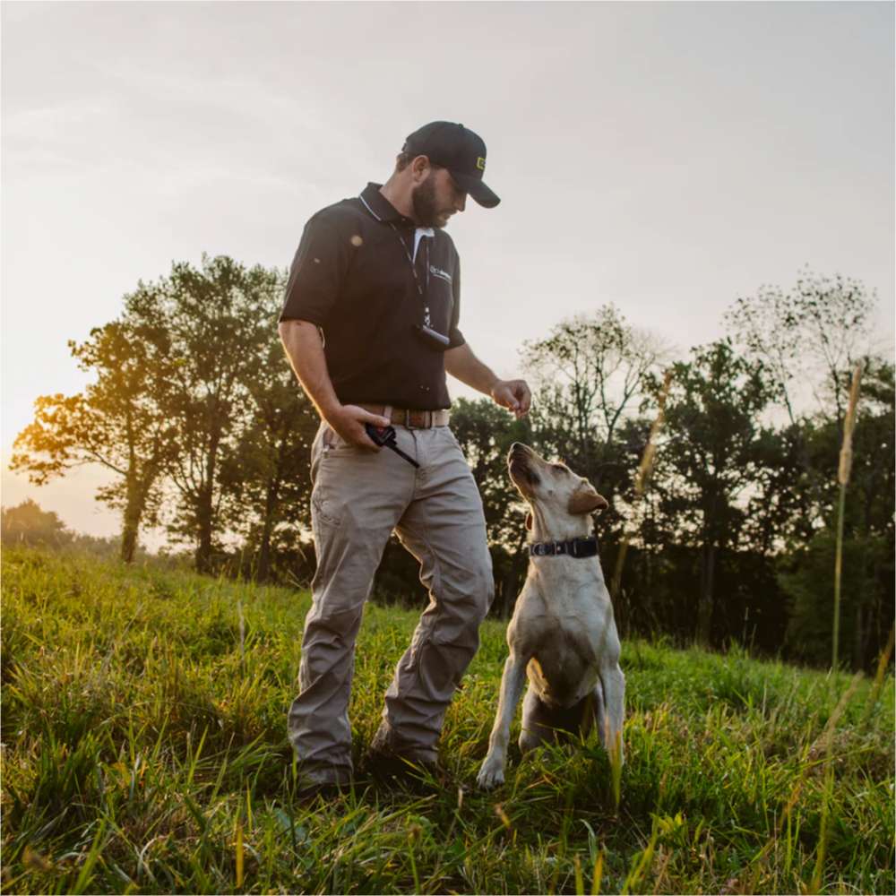 Trainer works with a dog wearing Dogtra EDGE RT Additional Receiver during an outdoor training session