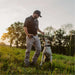 Trainer works with a dog wearing Dogtra EDGE RT Additional Receiver during an outdoor training session