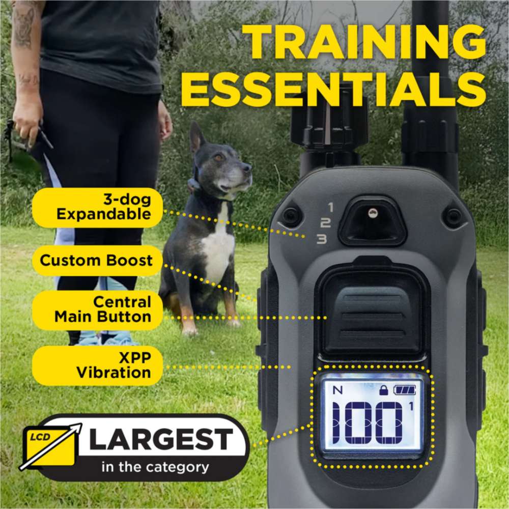 Training scene shows Dogtra 280X Remote Trainer 1 Dog System remote with features like XPP vibration, boost control, and a large LCD screen