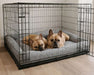Two French bulldogs rest together inside a crate on the gray Bowsers Tango Multi Dog Bed with padded supportive edges