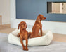 Two brown dogs sit together inside a fluffy cream-colored Bowsers Urban Lounger Dog Bed in a modern living room