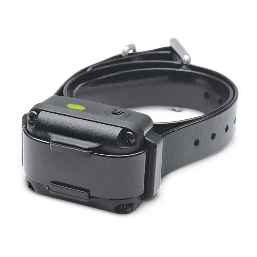 Two dogs stand on grass with a graphic showing Dogtra iQ VIBE Dog Bark Control Collar fits most dogs with a 12-inch minimum neck size