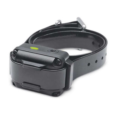 Two dogs stand on grass with a graphic showing Dogtra iQ VIBE Dog Bark Control Collar fits most dogs with a 12-inch minimum neck size