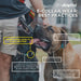 Two dogs wear Dogtra CUE 400 Yard Dog Remote Trainer with guidance on proper collar placement, fit, and safe usage