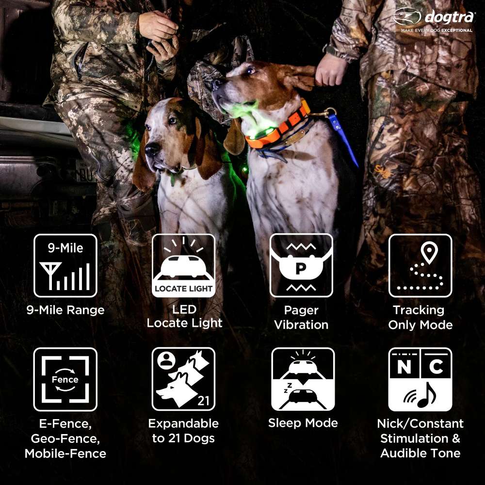 Two hunting dogs wearing glowing collars stand beside people in camouflage, showcasing Dogtra GPS Pathfinder2 E-Collar 9 Mile Range features like tracking, vibration, and LED lights