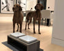 Two large dogs stand behind the raised Bowsers Fossil Artisan Wood Feeder Double in a bright dining area